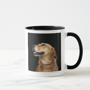 Mug Mélange d'or de laboratoire de beagle regardant a