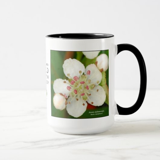 Mug Melanocarpa d'Aronia, chokeberry noir (Droite)