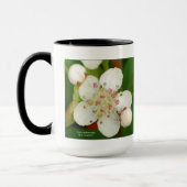 Mug Melanocarpa d'Aronia, chokeberry noir (Gauche)