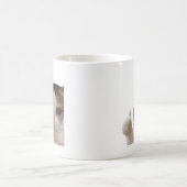 Mug Memes Chat Ok Pouce en l'air Double Face (Centre)