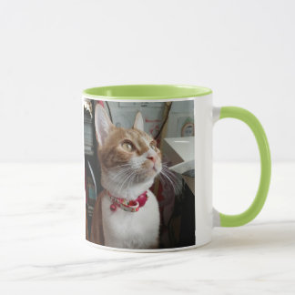 Mug Meowww