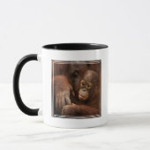 Mug Mère orang-outan et bébé au zoo (Gauche)
