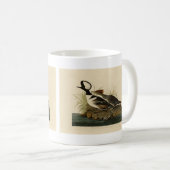 Mug Merganser à capuche - tiré de Audubon's Birds of A (Devant droit)