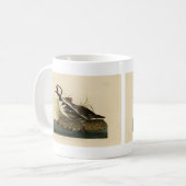 Mug Merganser à capuche - tiré de Audubon's Birds of A (Devant gauche)