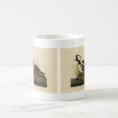 Mug Merganser à capuche - tiré de Audubon's Birds of A (Centre)