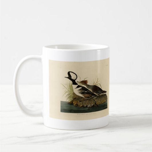Mug Merganser à capuche - tiré de Audubon's Birds of A (Gauche)