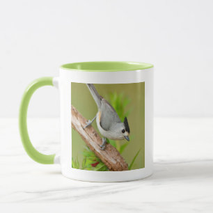 Mug Mésange à crête noire