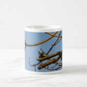 Mug Mésange bleue (Centre)