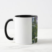 Mug Message inspirant : "La prière change les choses." (Gauche)