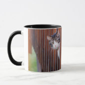 Mug Mesure (Gauche)