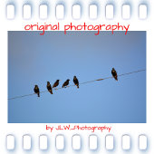 Mug Meurtre des corbeaux Silhouette Mystère Amour