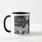 Mug MEXICO, D.F., Mexico, COYOACAN : Banc à (Gauche)