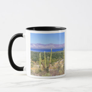 Mug Mexique, Basse-Californie du Sud, Cardon Cactus à