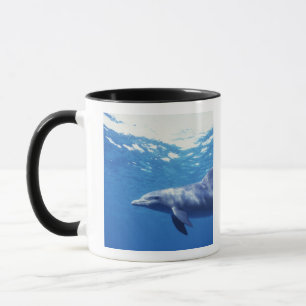 Mug Mexique, Cozumel. Dauphin à gros nez, Tursiops 3