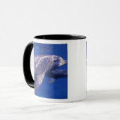 Mug Mexique, Cozumel. Dauphin en bouteille, Tursiops 2 (Devant gauche)