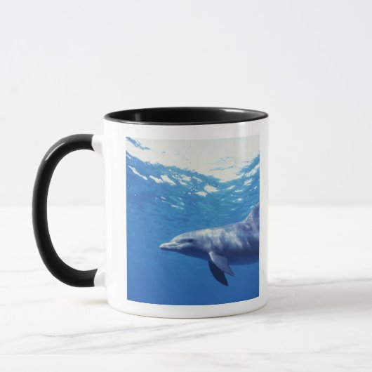Mug Mexique, Cozumel. Dauphin en bouteille, Tursiops 3 (Gauche)