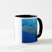 Mug Mexique, Cozumel. Dauphin en bouteille, Tursiops 4 (Devant droit)