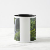 Mug Middle North Falls, Silver Falls State Park, (Centre)