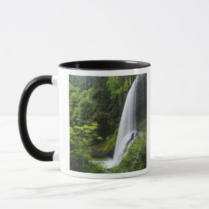 Mug Middle North Falls, Silver Falls State Park,