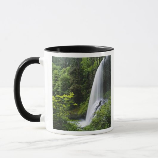 Mug Middle North Falls, Silver Falls State Park, (Gauche)