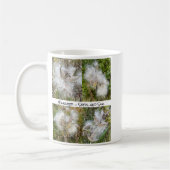 Mug Milkweed | Naturel (Gauche)
