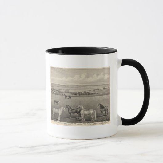 Mug Mill Brae Ranch, Kansas (Droite)