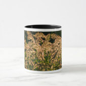 Mug Millet sauvage (Panicum Sp.) Cultivation En Mer (Centre)