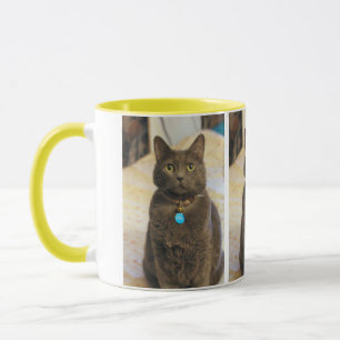Mug Mims