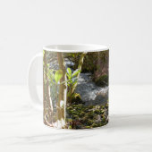Mug Mingus Creek at Smoky Mountains (Devant gauche)