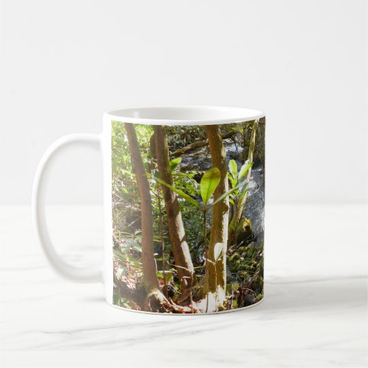Mug Mingus Creek at Smoky Mountains (Gauche)