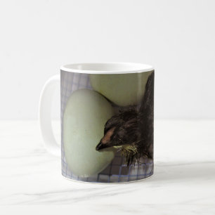 Mug Minutes