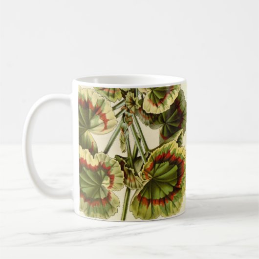 Mug 'Miss Pollack' Zonal Geranium (Gauche)