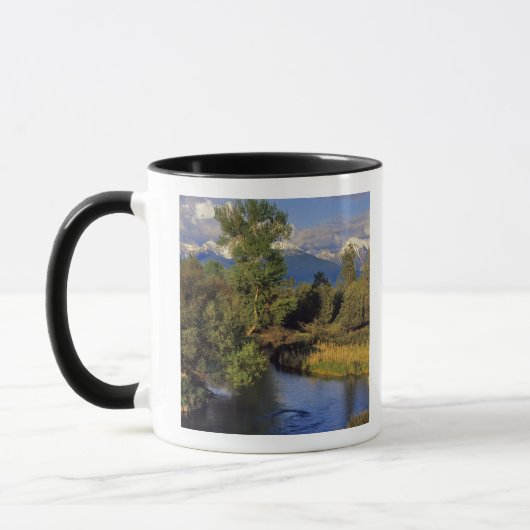 Mug Mission Creek dans le National Bison Range à (Gauche)