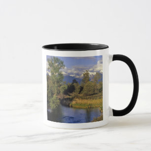 Mug Mission Creek traverse le National Bison