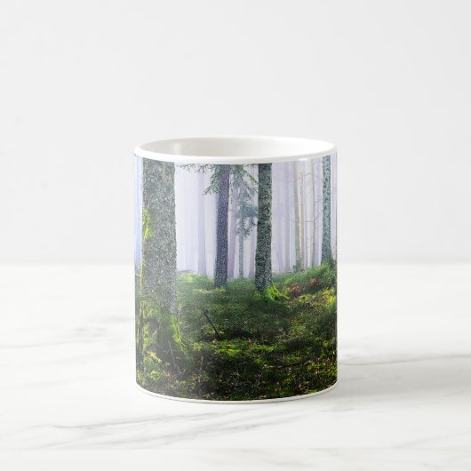 Mug Misty Dawn Forest Photo  (Centre)