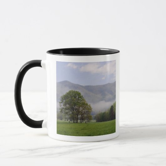 Mug Misty meadow and Rich Mountain, Cades Cove, (Gauche)