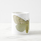 Mug mite gitane (Centre)