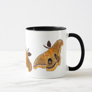 Mug Mites de Polyphemus