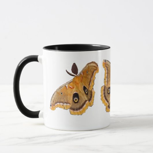 Mug Mites de Polyphemus (Gauche)