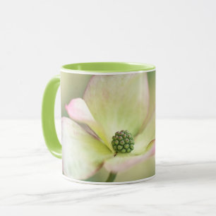 Mug Mlle Satomi'de Kousa de cornus de la fleur de