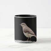 Mug Mockingbird sur une pierre tombale (Centre)