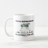 Mug Modèle d'expression du gène pour des gènes de (Gauche)