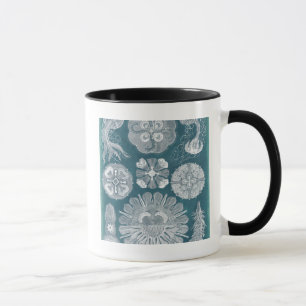 Mug Modèle IV de vie marine