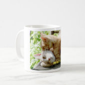 Mug Mohan et Jaffa (Devant gauche)