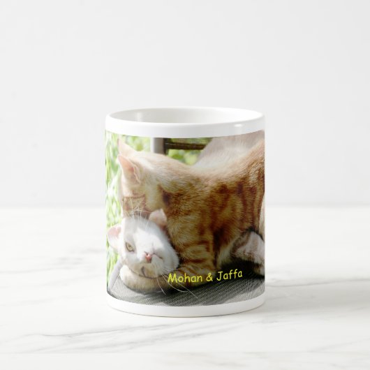 Mug Mohan et Jaffa (Centre)