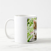 Mug Mohan et Jaffa (Gauche)