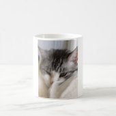 Mug Moira (chat) Photo (Centre)