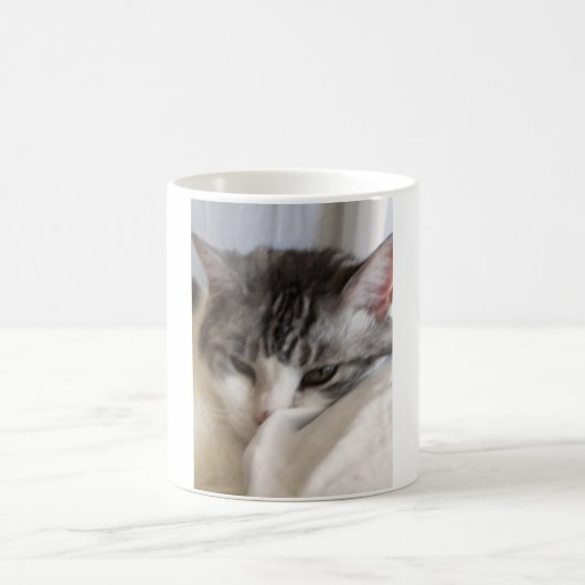 Mug Moira (chat) Photo (Centre)