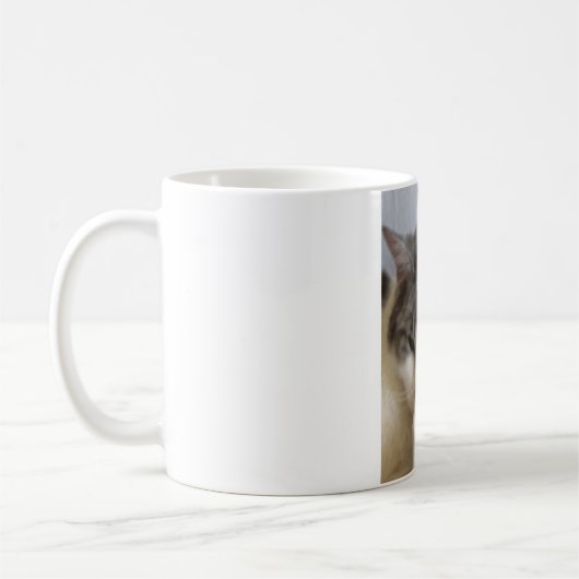 Mug Moira (chat) Photo (Gauche)