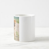 Mug Mojo Chow (Centre)